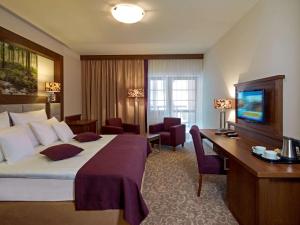 クリニツァ・ズドルイにあるHotel Mercure Krynica Zdrój Resort&Spaのベッドと机とテレビがあるホテルの部屋