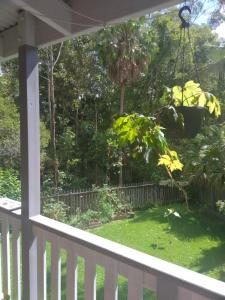 Jardín al aire libre en Near to Everything Yet in a Rainforest setting