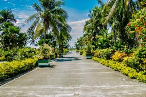 um caminho alinhado com palmeiras e plantas em Grand West Villas em Nadi