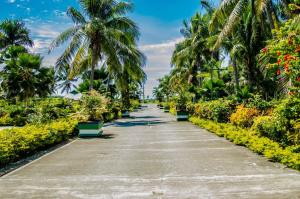 un camino bordeado de palmeras y plantas en Grand West Villas, en Nadi