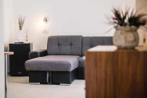 a living room with a couch and a chair at Villa Andor in Ankaran