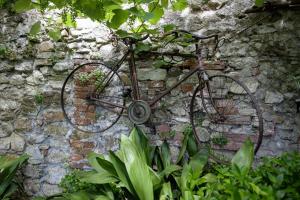 Attività di ciclismo presso la casa vacanze o nelle vicinanze