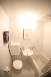 La salle de bains blanche est pourvue de toilettes et d'un lavabo. dans l'établissement ロワジール岩槻301, à Iwatsuki