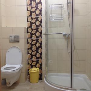 a bathroom with a toilet and a shower at Na Fali in Grzybowo