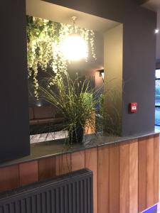 沃尔索尔贝弗利酒店的相册照片