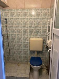 シビウにあるPensiune Turistのバスルーム(青いシート付きトイレ付)