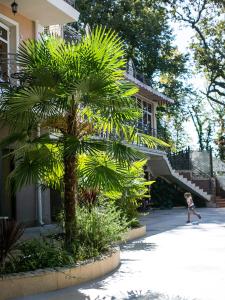 a child walking in front of a house with a palm tree at Villa Polianna in Sochi