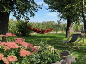 a hammock in the middle of a garden with flowers at Zagroda u Leny - Dom na wyłączność in Czyże