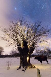 صورة لـ La Erilla في Braojos de la Sierra