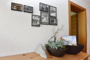 Fotografie z fotogalerie ubytování Ferienwohnung Saxenhammer v destinaci Vandans