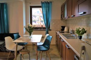 Kuchyňa alebo kuchynka v ubytovaní Apartamenty Rodzinne II ApartZakop