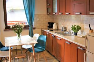 Kuchyňa alebo kuchynka v ubytovaní Apartamenty Rodzinne II ApartZakop