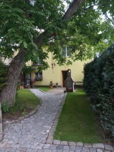 un sentiero in pietra di fronte a una casa con un albero di Apartmány Friday a Liberec