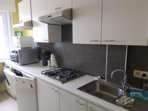 een keuken met een wastafel en een fornuis top oven bij Appartement met zeezicht in Blankenberge