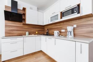 Kuchyňa alebo kuchynka v ubytovaní Apartament Szarotka Kierpcówka 16 Kościelisko by Noclegi Renters