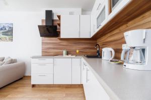 Kuchyňa alebo kuchynka v ubytovaní Apartament Szarotka Kierpcówka 16 Kościelisko by Noclegi Renters