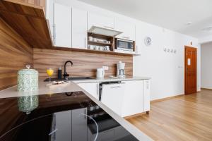 Kuchyňa alebo kuchynka v ubytovaní Apartament Szarotka Kierpcówka 16 Kościelisko by Noclegi Renters