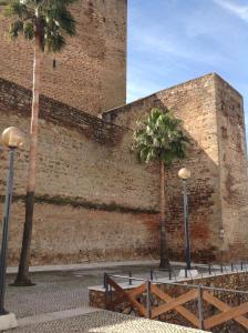 two palm trees in front of a brick wall at Hostal Los Amigos in Olivenza