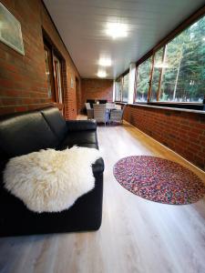 - un salon avec un canapé noir et un tapis dans l'établissement Ferienhaus/Ferienwohnung Fam. Manthey, à Harrendorf