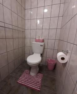 Bagno di De Graaff Manor