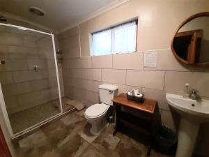 Bagno di De Graaff Manor