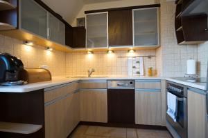 Kuchyňa alebo kuchynka v ubytovaní Apartamenty Rodzinne II ApartZakop