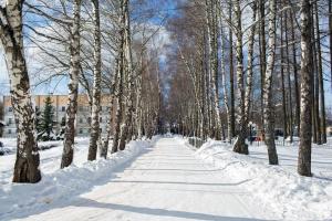 Парк-отель Ершово зимой