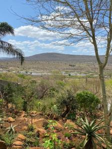 a view of a field with trees and bushes at Croc River Lodge in Komatipoort