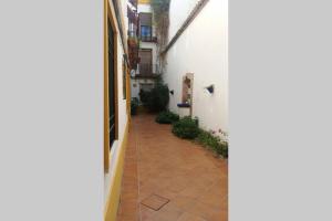 un pasillo vacío de una casa con patio en Nuevo y centrico, Santa Marina, en Córdoba