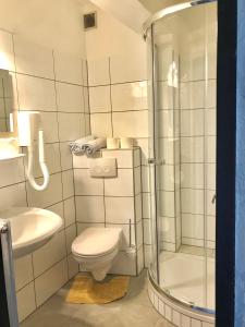 a bathroom with a toilet and a shower at Hotel Terminus in Mainz