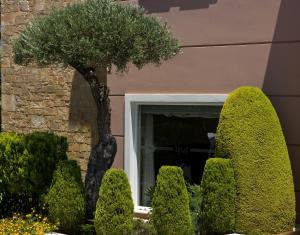 Zahrada ubytování Zeus Village Resort - Adults Only