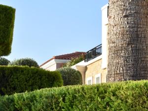 Zahrada ubytování Zeus Village Resort - Adults Only
