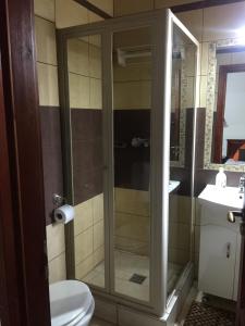 a bathroom with a shower with a toilet and a sink at Cherry Apartmanház in Sárvár