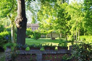 A garden outside La Casa di Marina