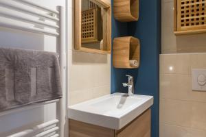 La salle de bains est pourvue d'un lavabo et d'un miroir. dans l'établissement Appartements de la Pléiade, à Strasbourg