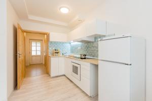 Kuchyň nebo kuchyňský kout v ubytování Apartmány Jedovary