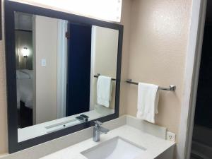 a bathroom with a sink and a large mirror at Travelers Inn and Suites Wharton in Wharton