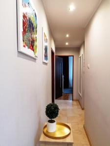 a hallway with a potted plant on a table at Rubin Apartment in Kielce