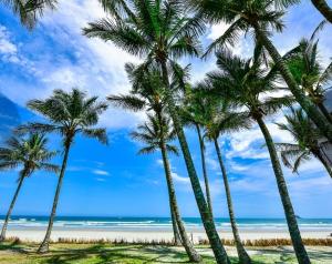 un grupo de palmeras en una playa en Riviera São Lourenço, cond Acqua! 30 seg da praia - lindo apto com wifi e ar condicionado en Riviera de São Lourenço