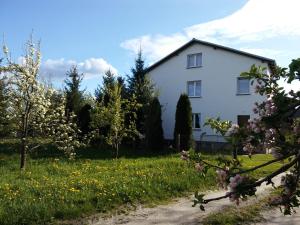 Zahrada ubytování Agroturystyka - Wypoczynek nad stawem na Kaszubach