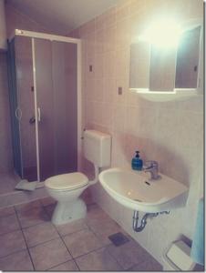 a bathroom with a toilet and a sink and a shower at Apartment Lopar 27 in Lopar