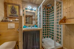 a bathroom with a shower and a sink and a toilet at Colettine in Tignes