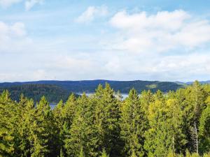 vistas a un bosque de árboles y a un lago en 8 person holiday home in Hen n en Henån
