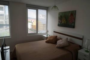 a bedroom with a bed with two pillows and two windows at LO DE MOLI 2C in Ushuaia