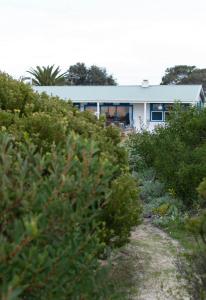 a house in the middle of a field of bushes at Polperro, a quintessential seaside experience in Robe