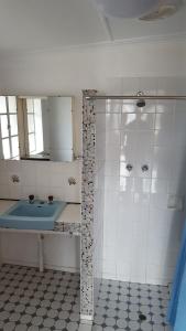 a bathroom with a shower and a sink and a tub at Hillocks Drive in Marion Bay