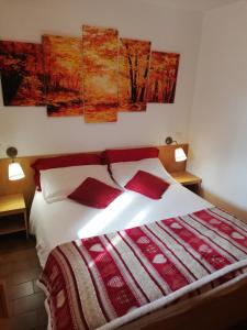 a bedroom with a large bed with red pillows at Ski-Garden in Mezzana