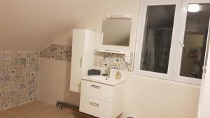 ein Bad mit einem Waschbecken und einem Spiegel in der Unterkunft COLOC SUPERGÎTE SPACIEUX PROCHE TOUTES COMMODITÉS in Saint-Just-Sauvage
