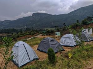 Gallery image of Aden Valley Tent Stay , kanthalloor in Kanthalloor