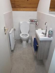 y baño con aseo y lavamanos. en Belvárosi Apartman Kőszeg, en Kőszeg